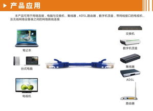 六类网线（Cat6）全面解析 从核心参数到选购指南